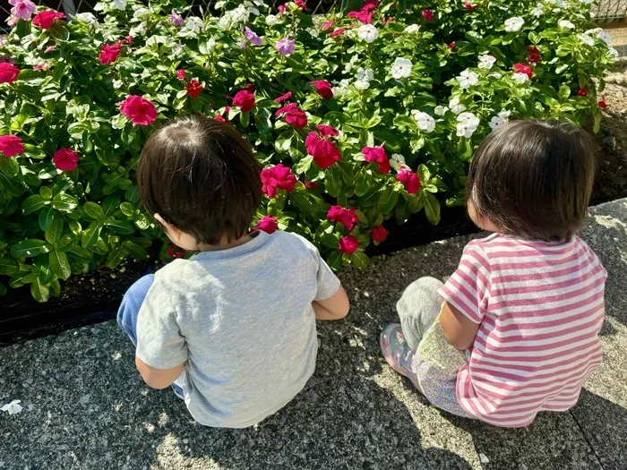 こぱんはうすさくら横浜いずみ教室/キレイだね
