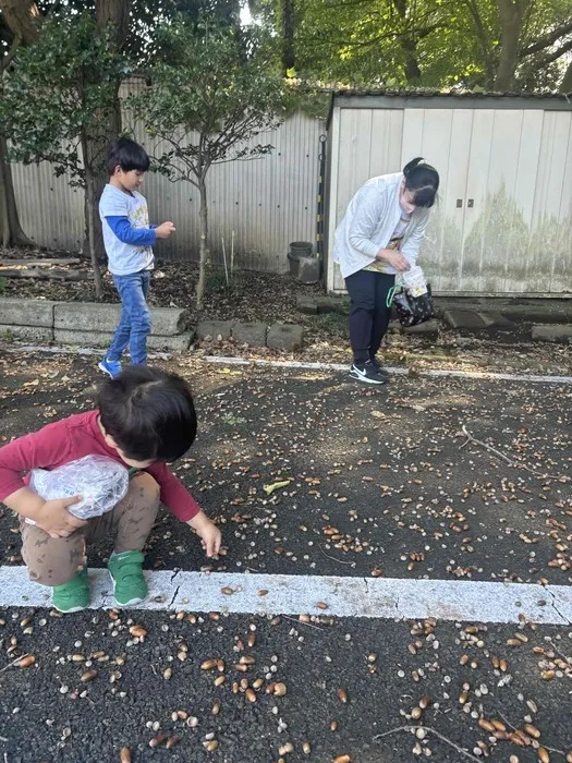 こぱんはうすさくら横浜いずみ教室/どんぐり拾い