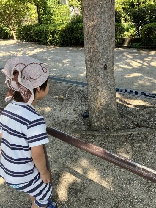  【送迎あり】chouchou粕屋町【施設見学受付中】/セミの観察🔍