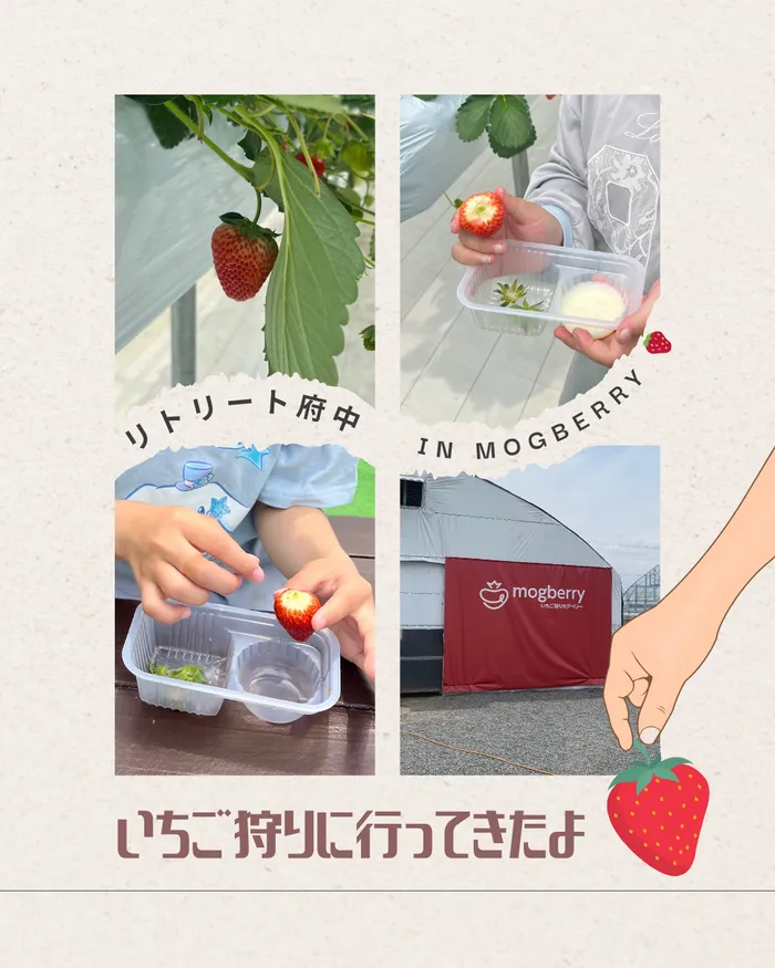 【広島県指定事業所】【不登校対応・フリースクール型放課後等デイサービス】kids space リフライズ　リトリート府中/いちご狩り🍓