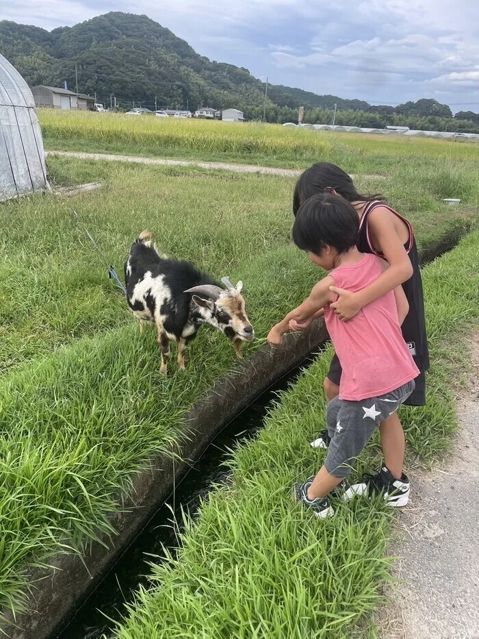 ブリエ HUT/🐐遠くの公園🐐