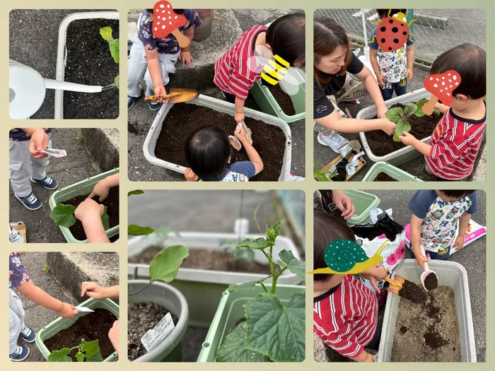 たまむすび/🍆🍅🥒大きくなあれ