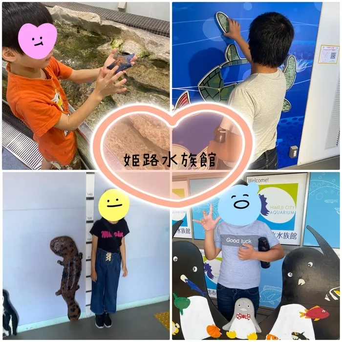 放課後等デイサービスかみふうせんトレイス/水族館へ行こう🐟