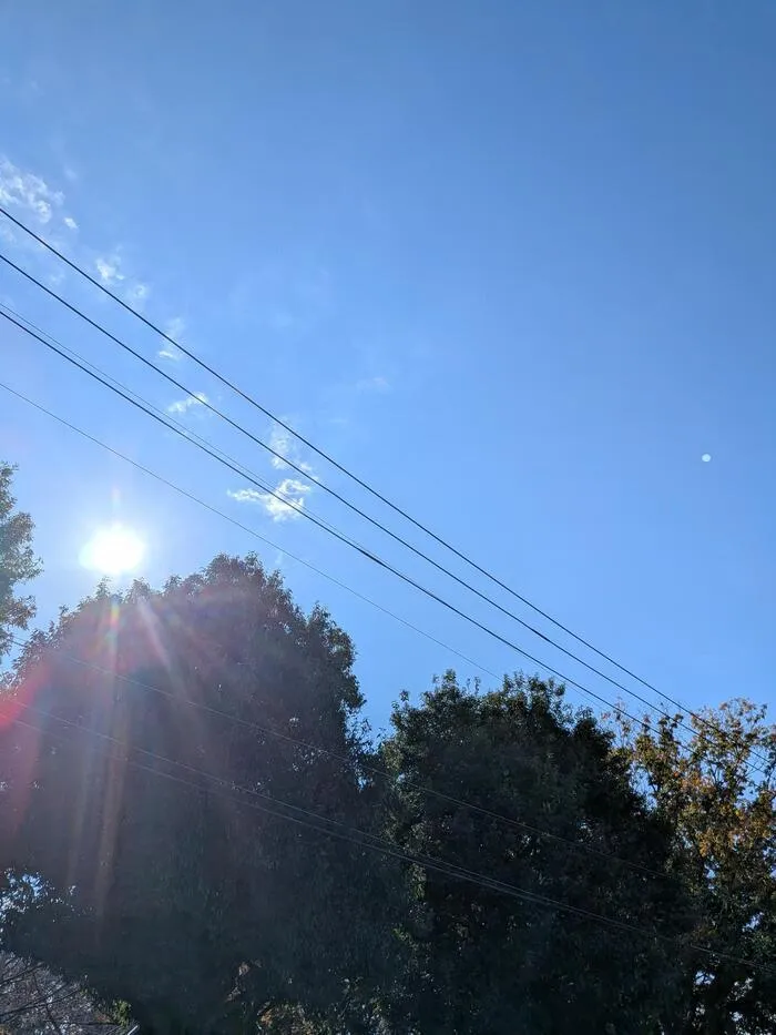 放課後等デイサービス　ぷるめりあ/久しぶりの晴れ