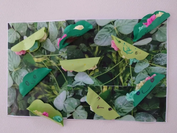 個別療育のゆめラボ宇品教室/🌱さやえんどう🌱