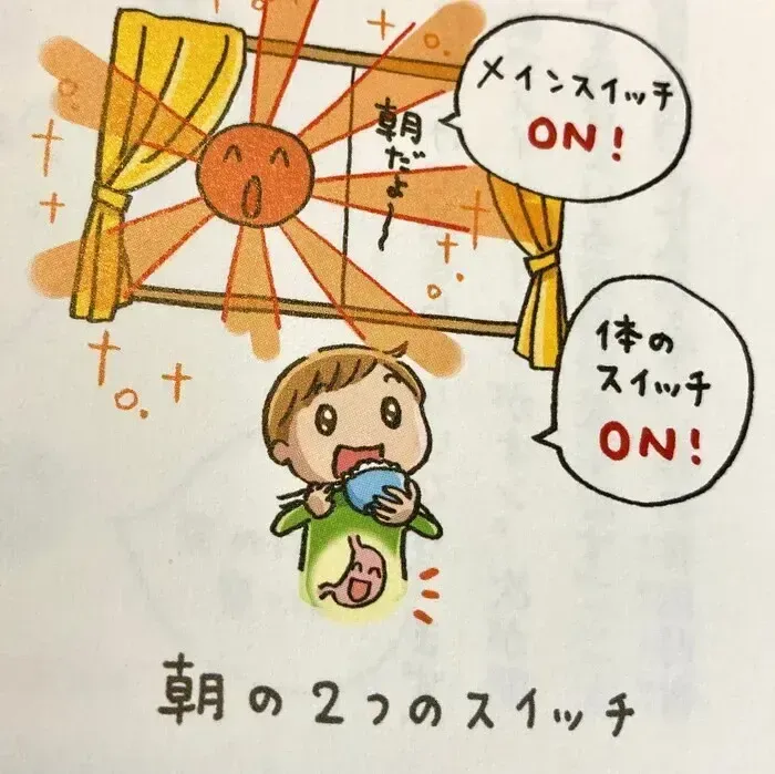 児童発達支援・放課後等デイサービス LUMO 夙川校/時間栄養学　　～朝ごはんは、一日の始まりスイッチ～