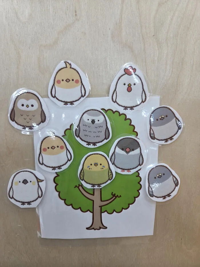 てらぴぁぽけっと新富町教室/みなさーーーん！数、かぞえてますか？