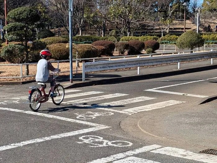 もみのき   						/交通公園へ行きました！