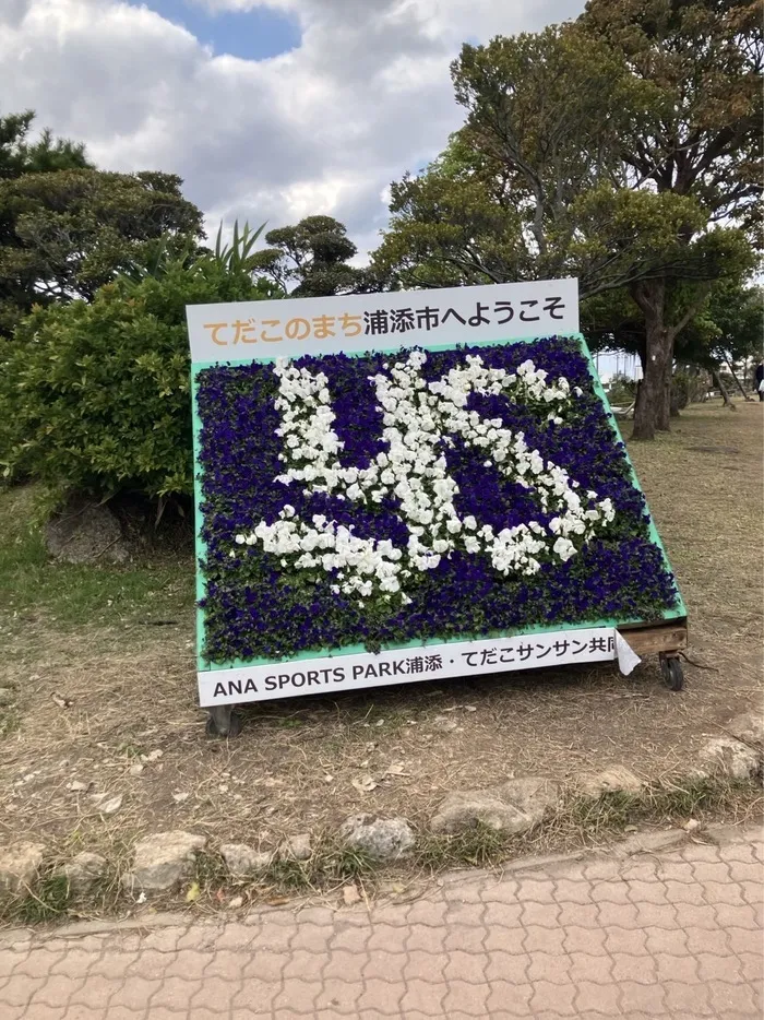 ドリームボックス那覇/プロ野球キャンプ