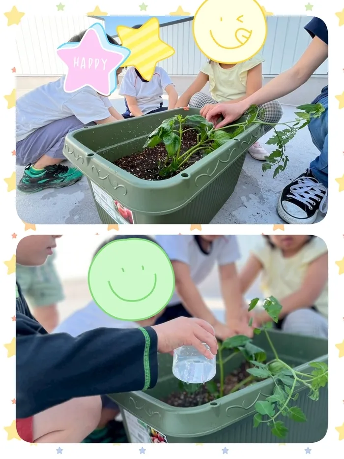 個別支援サポート教室わいわいプラス/屋上菜園🍅