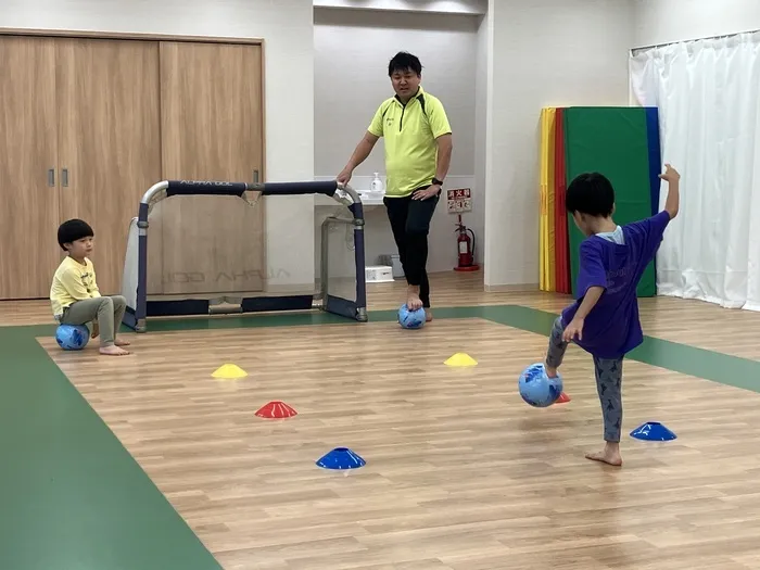 ぽかぽかステップスポーツ(安田式導入・学習型)/その他
