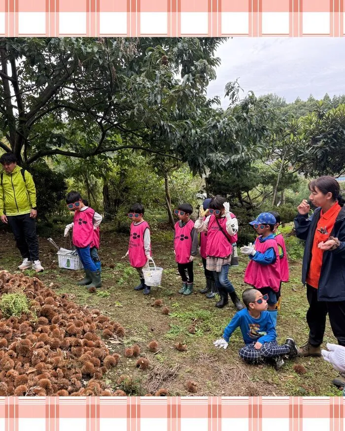  ぽかぽかステップスポーツ（安田式導入・学習型）/10/13　栗拾いへ行きました🌰🎶