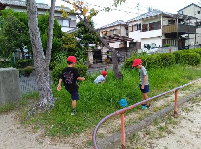 たんちゃん荻野教室/秋の虫探し