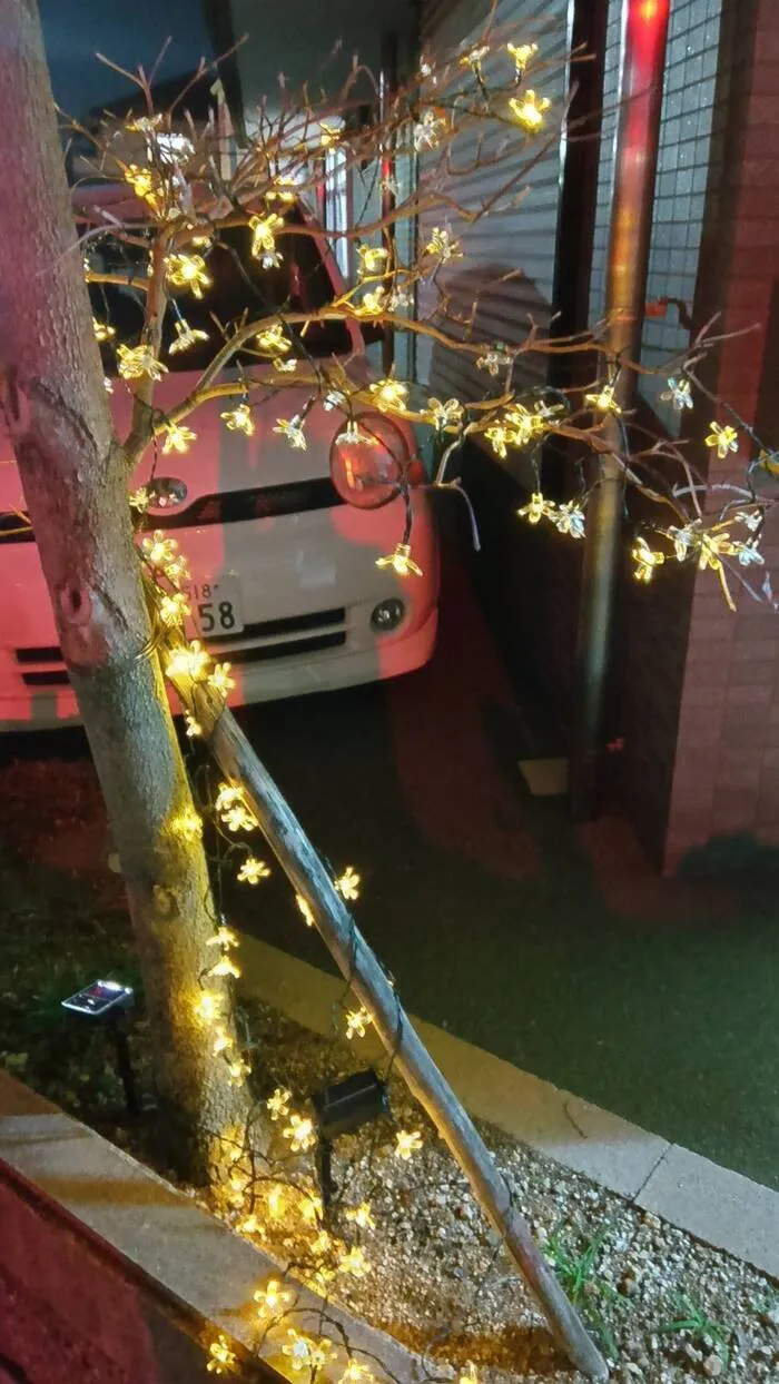 たんちゃん荻野教室/クリスマス準備