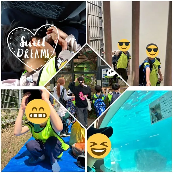 放課後等デイサービスたんぽぽ西難波店/王子動物園に行きました😆