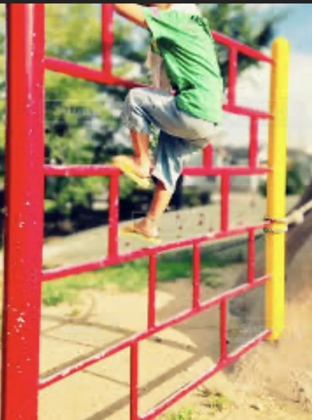 にじいろぱれっと八日市の画像