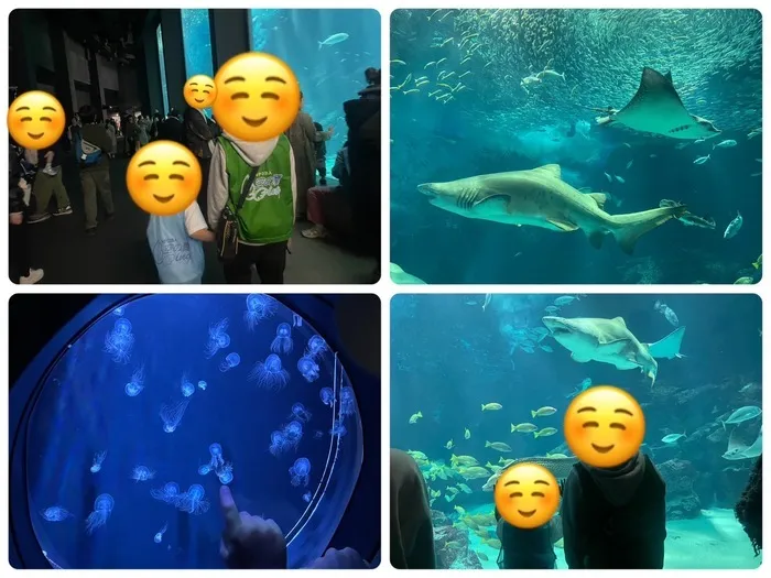スカイウイング小田部/マリンワールド🐬
