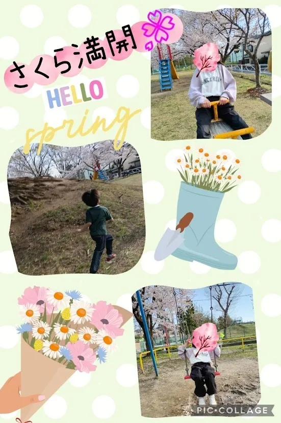 放課後等デイサービスココカラLIFE南光台教室/🌸さくら満開🌸公園活動🌸