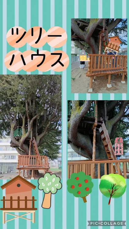 放課後等デイサービスココカラLIFE南光台教室/見晴らし最高！ツリーハウス！🌳✨