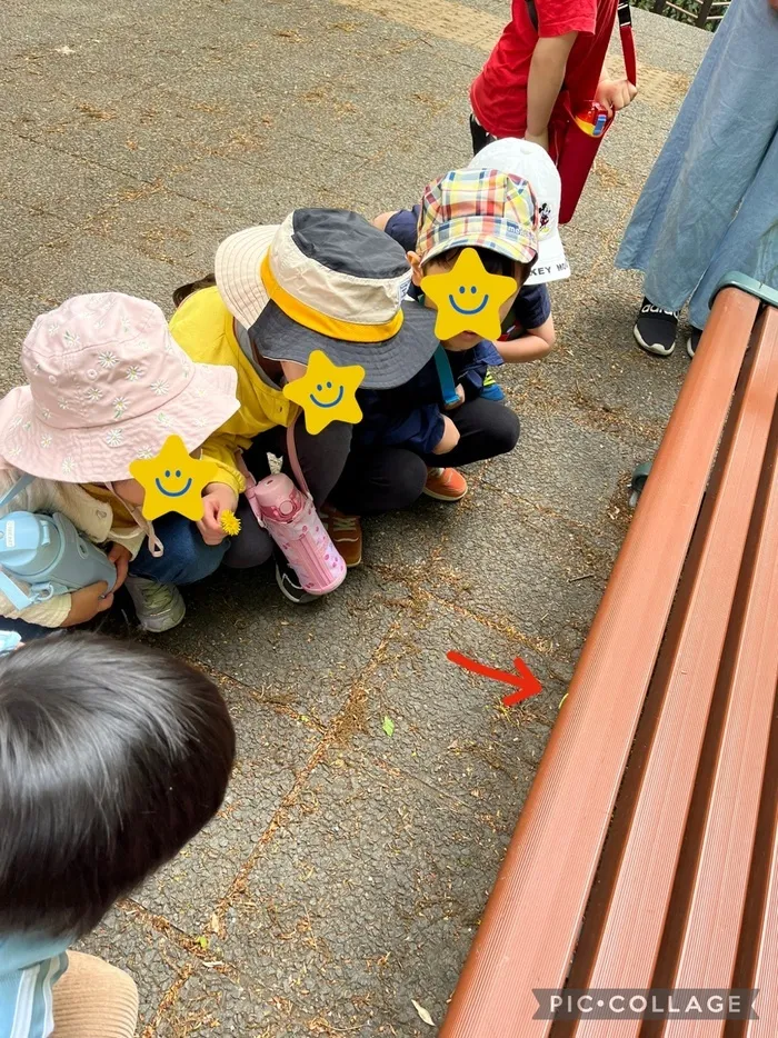 児童発達支援ぶるーむ美園/青虫発見✨