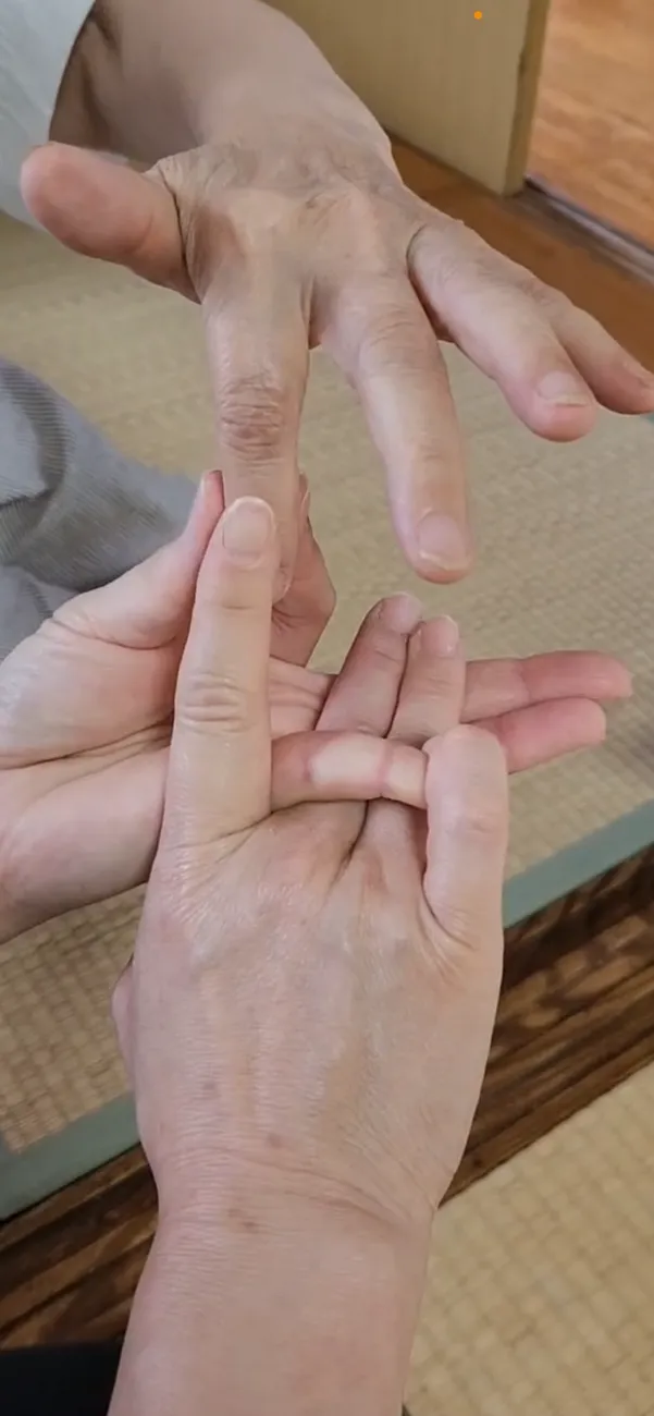 オハナみらいキッズサポート流山/【研修に行ってきました3】人を育てる唄、遠野のわらべうた🎵