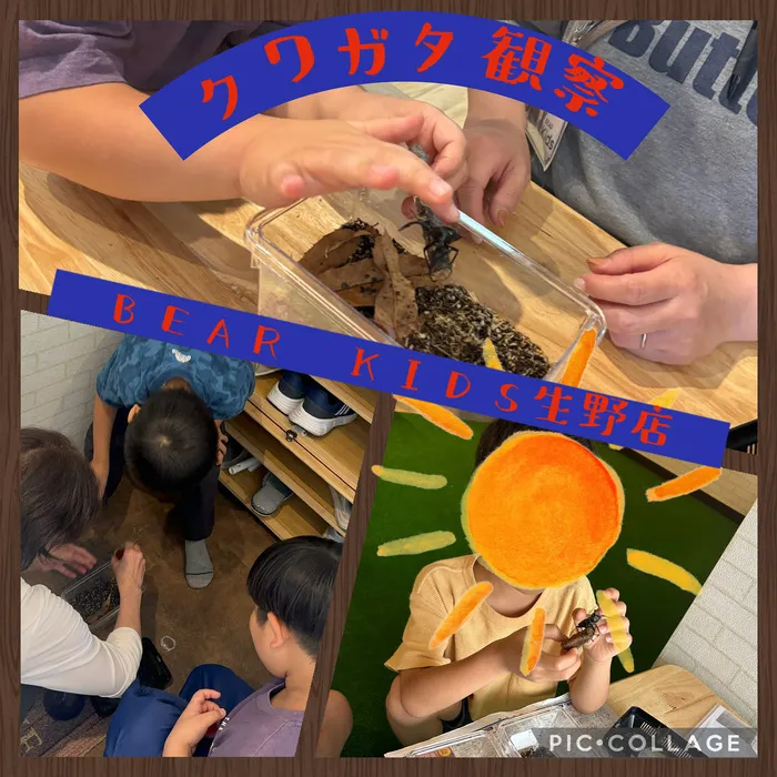 【ABA個別療育・就学前支援】BEAR KIDS（ベアキッズ）生野店/🪲クワガタ観察