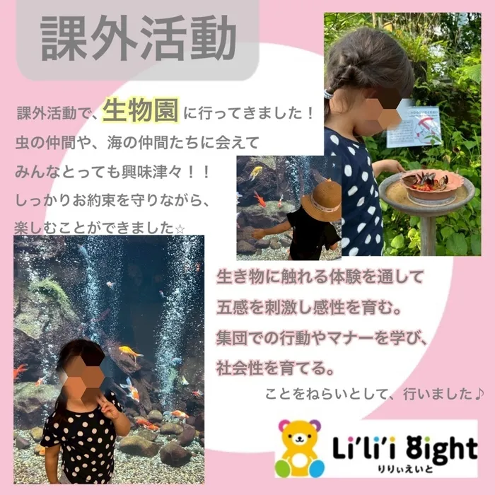リリィエイト　ナーサリー/課外活動🐬