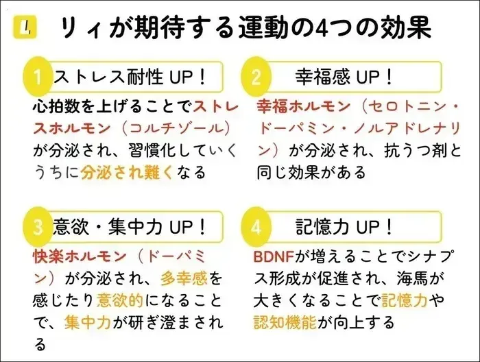 リィスポーツスタジオ白金高輪/プログラム内容