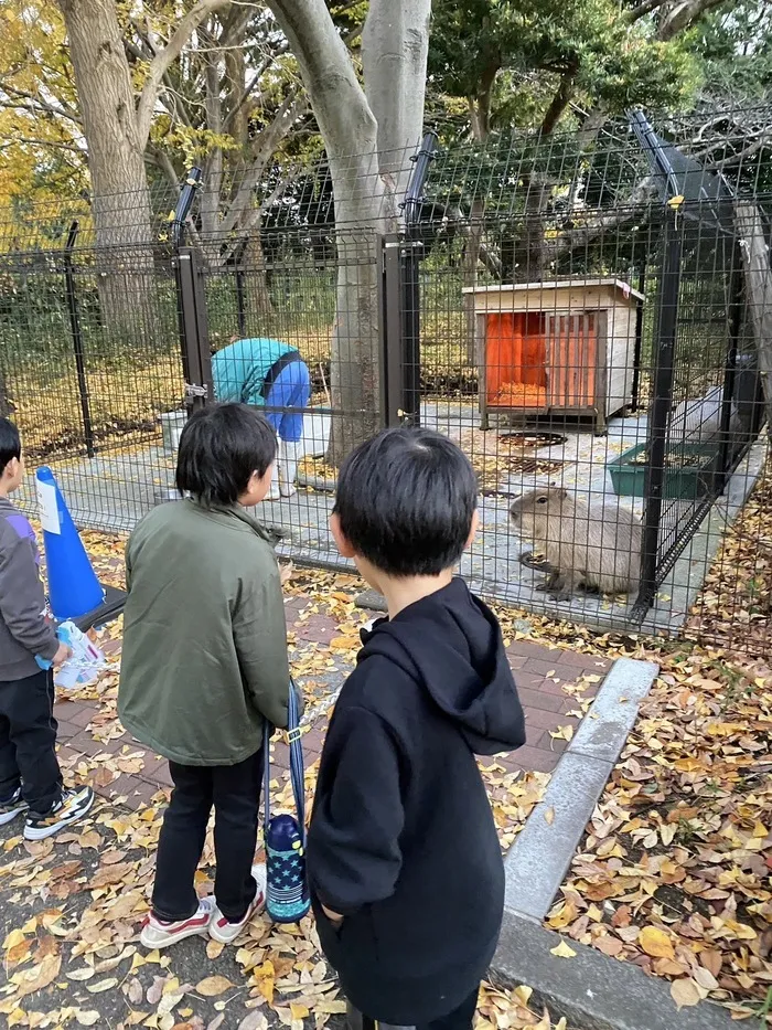 hopeステップキッズ/動物園