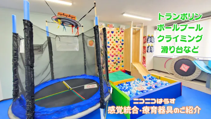 ニコニコはうす/プログラム内容