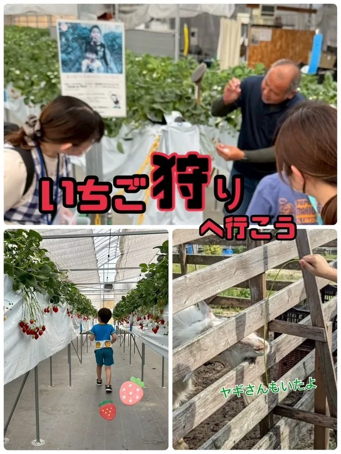 らもーれこども教室徳重/おでかけ　いちご狩りに行こう！