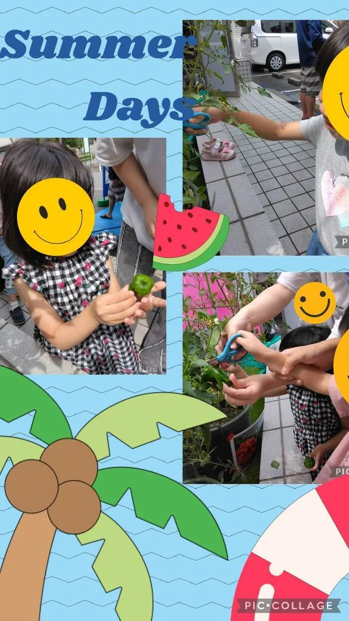 こぱんはうすさくら西千葉教室 ［未就学児＆小学生対象／送迎有］/🍅【夏野菜の収穫！プチ農園が大豊作】🌿