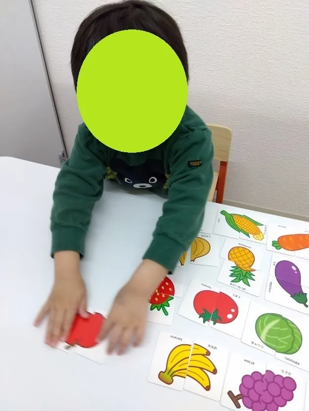 イーライフジュニア・ホープ/個別課題（絵合わせカード）