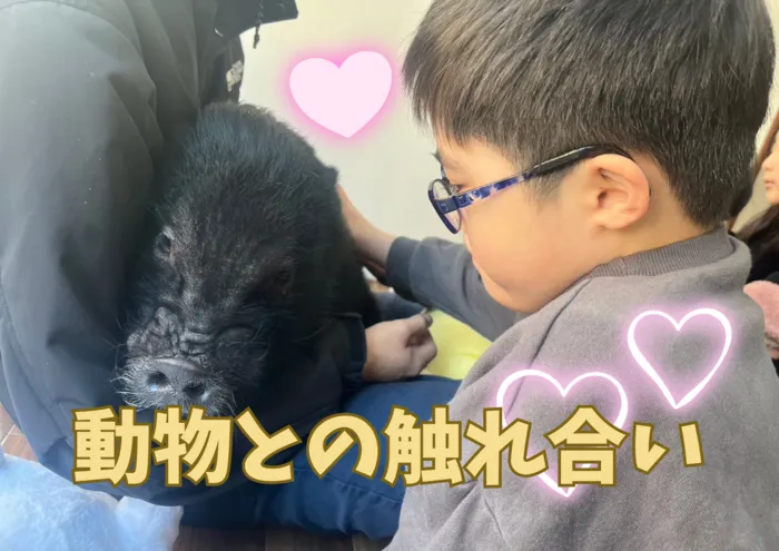 morrys 府中店/動物との触れ合い🐷💓