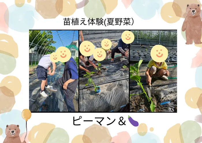 児童発達支援・放課後等デイサービス　くじらぐも/【 夏野菜の苗植え体験 🌱 🍆 🫑 】