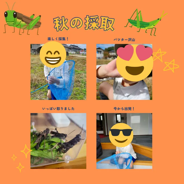 児童発達支援・放課後等デイサービス　くじらぐも/🦗🍁 児童発達支援　秋の虫採り活動　〜 バッタ採取 〜