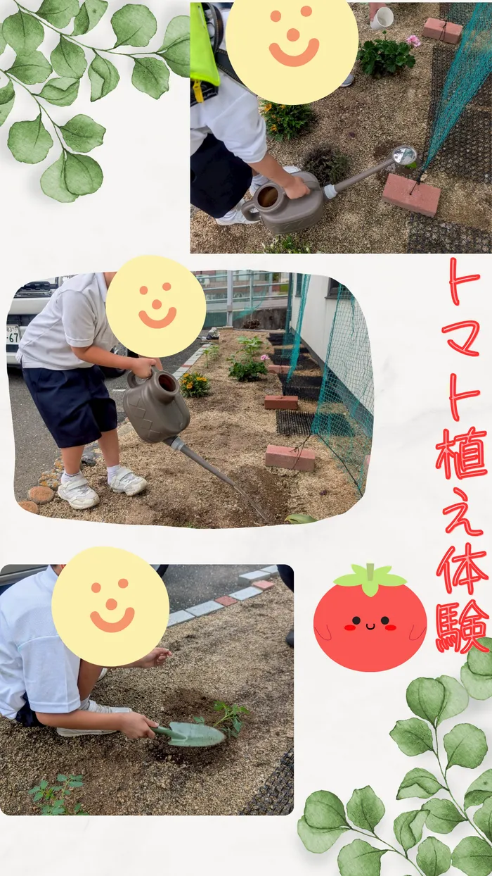児童発達支援・放課後等デイサービス　くじらぐも/ 🌱【 施設の庭でトマト苗植え体験 🍅】