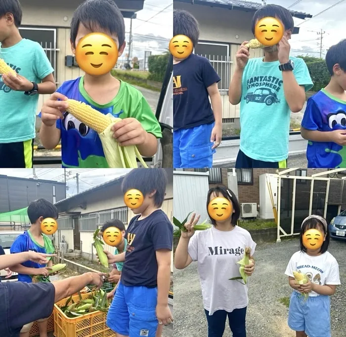 児童発達支援・放課後等デイサービス　おりーぶ/とうもろこし収穫🌽✨