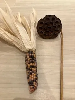 学研の療育　クロッカ湘南台/玄関にあります😊