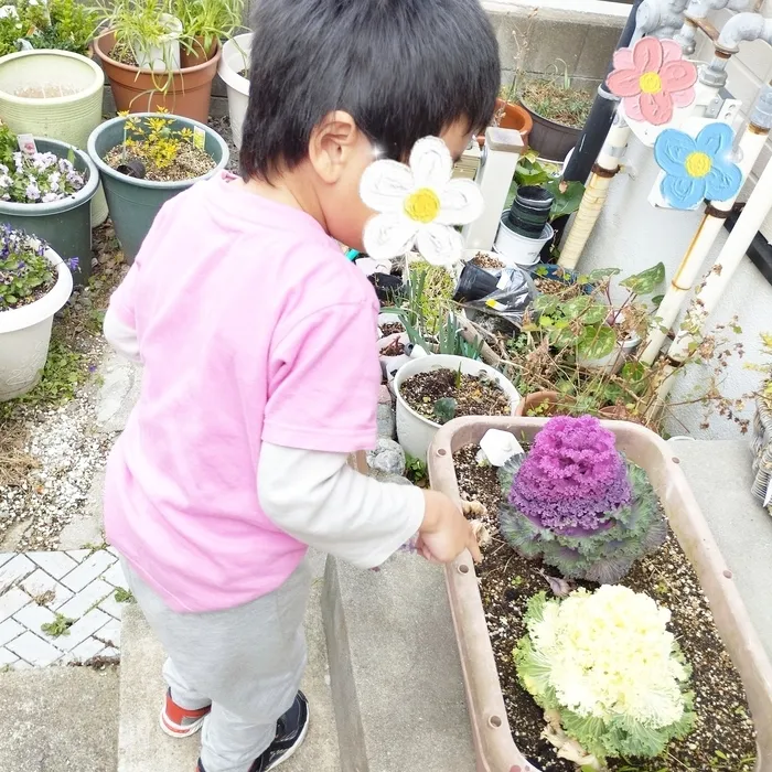 【２０２４年１２月オープン！送迎もあります】ドキドキキッズにこにこ園/🌷にこにこ園の花壇🌷