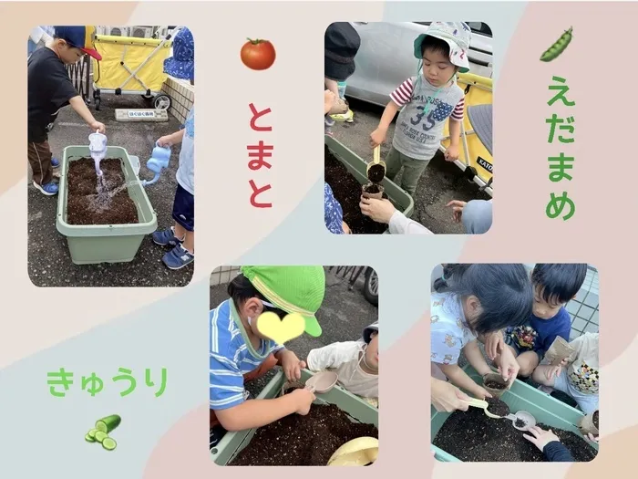 ナトゥラーレはぐはぐ向田町/種を植えたよ☀️