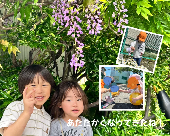 ナトゥラーレはぐはぐ向田町/あたたかくなってきたね🌞🌴
