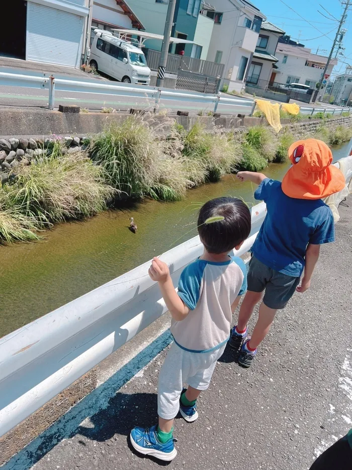 ナトゥラーレはぐはぐ向田町/カモさんみーっけ！🦆