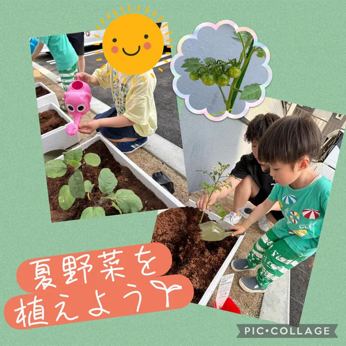  (2025年４月OPEN！)　ひだまりきっずPlus/夏野菜を植えたよ