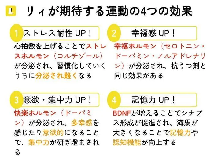 Lii sports studio横浜関内/プログラム内容