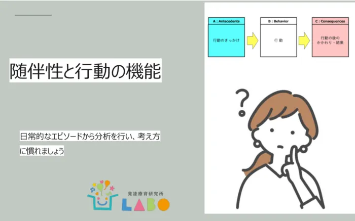 【2024年12月オープン】てらぴぁぽけっと西宮教室/てらぴぁぽけっと本部ラボで、「随伴性と行動の機能」を受講