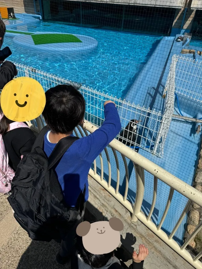 児童発達支援・放課後等デイサービスすたーりー花園/王子動物園に行こう🐧