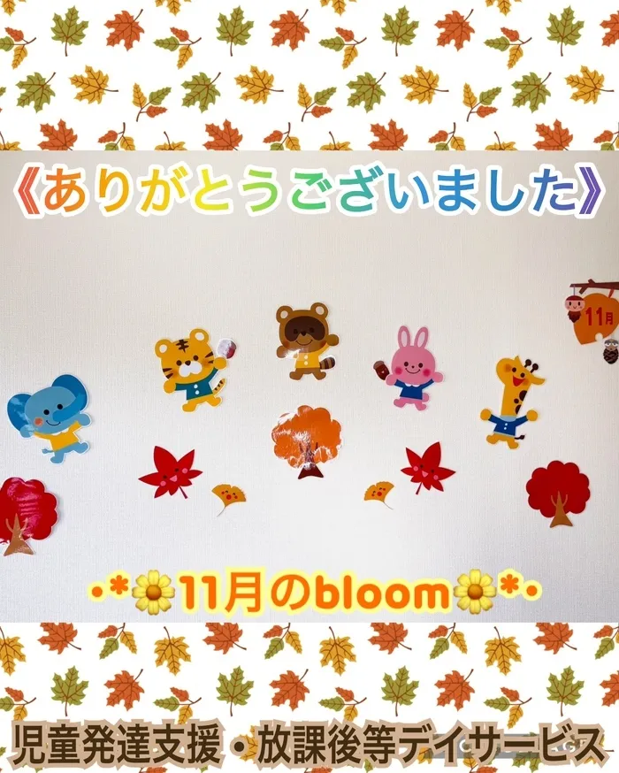bloomの画像