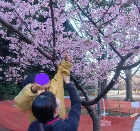 ポニーナ京成津田沼/桜の花びら、届くかな🌸
