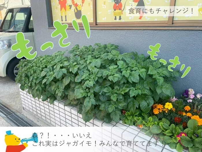 Fun-fare(ファンファーレ)☆2025年4月OPEN!/日常の支援風景